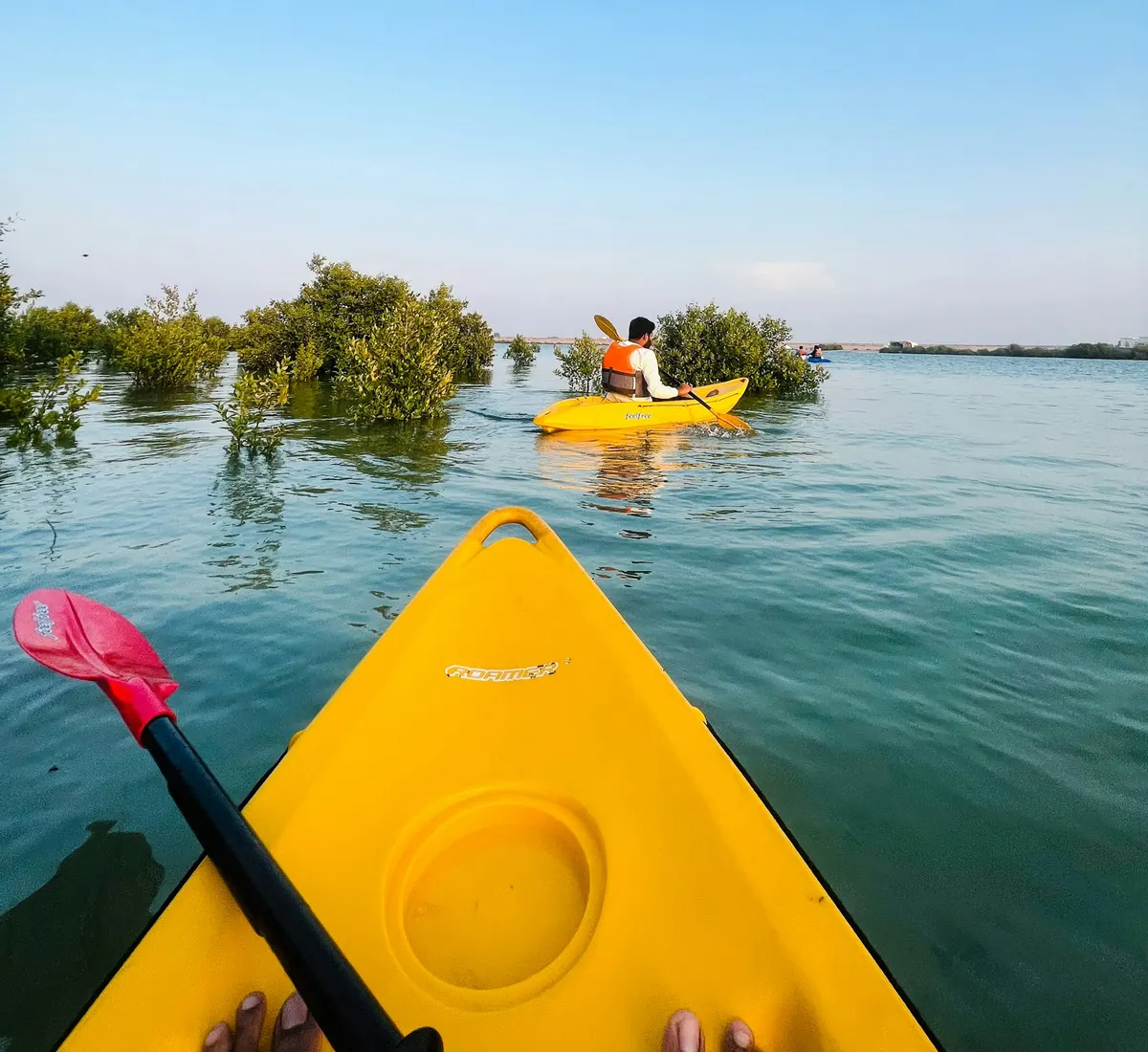 Kayaking through the mangroves of Umm Al Quwain